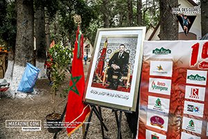 Trail des cèdres 2024